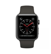 Apple Watch Series 3 LTE 38mm Space Gray / Gray Band – MR2W2