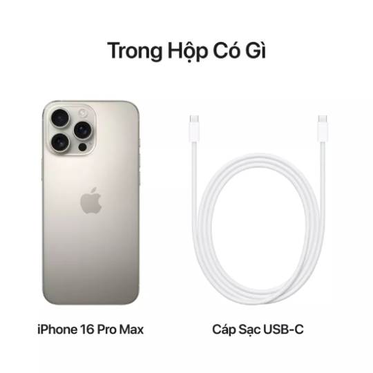 iPhone 16 Pro Max 