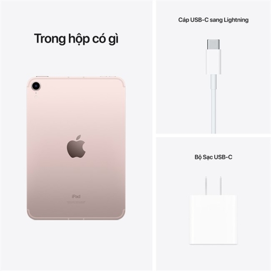 iPad Mini 6 64GB Wi-Fi
